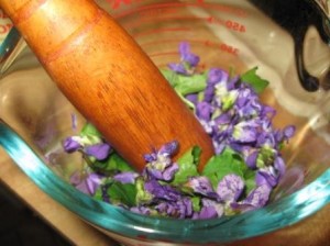 violets in mortar